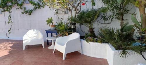 IMG20240506163659